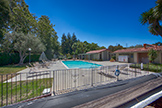 10932 Sweet Oak St, Cupertino 95014 - Pool (A)