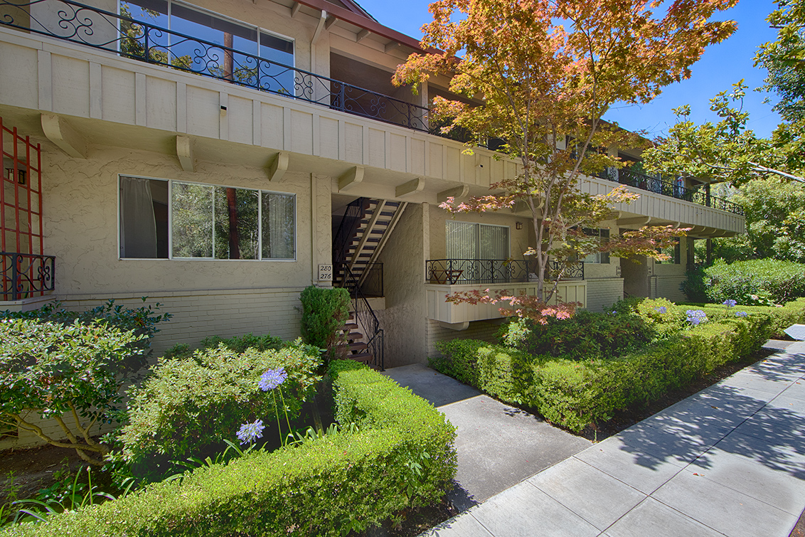 280 Waverley St 8 - Palo Alto