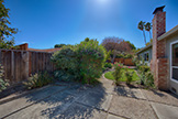 612 Banta Ct, San Jose 95136 - Backyard (A)
