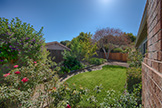 612 Banta Ct, San Jose 95136 - Backyard (B)