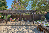 22430 Cupertino Rd, Cupertino 95014 - Backyard (D)