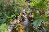 22430 Cupertino Rd, Cupertino 95014 - Water Fall (A)