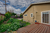 1932 Foxworthy Ave, San Jose 95124 - Backyard (A)