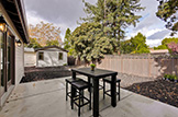 407 Laurel Ave, Menlo Park 94025 - Backyard 4 