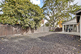 407 Laurel Ave, Menlo Park 94025 - Backyard 5 