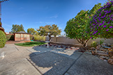 21025 Lauretta Dr, Cupertino 95014 - Backyard (A)