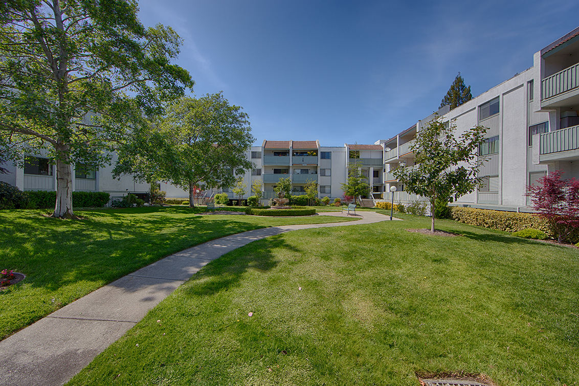 400 Ortega Ave 208 - Mountain View