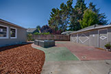 660 Palo Alto Ave, Mountain View 94041 - Backyard (A)