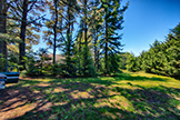 1 Quail Ct, Woodside 94062 - Yard (A)