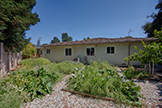 990 Rose Ave, Mountain View 94040 - Vegetable Garden (A)