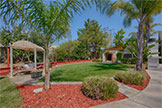 20599 Scofield Dr, Cupertino 95014 - Backyard (A)