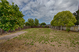 823 W Washington Ave, Sunnyvale 94086 - Backyard (A)