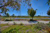 3002 Whisperwave Cir, Redwood Shores 94065 - Behind Home (A)