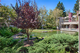 928 Wright Ave #1002, Mountain View 94043 - Common Area (A)
