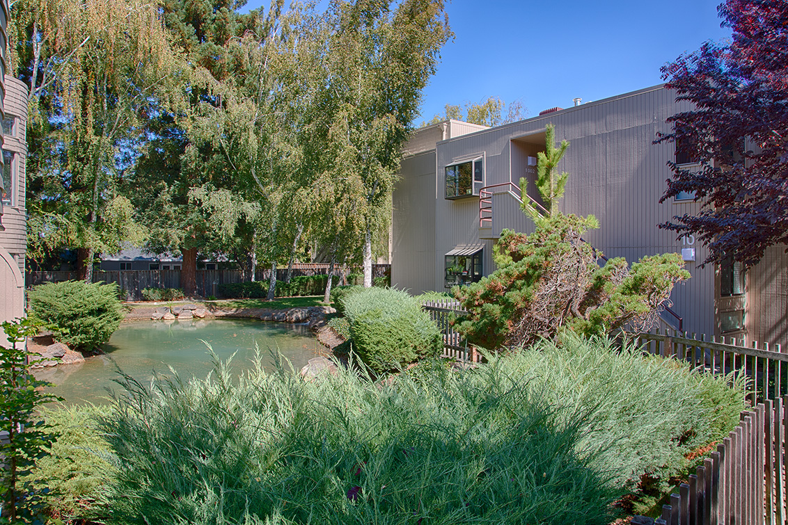928 Wright Ave 1002 - Mountain View
