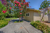 105 Belglen Way, Los Gatos 95032 - Backyard (A)