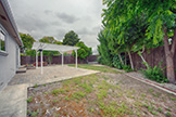 6239 Castillon Dr, Newark 94560 - Backyard (A)