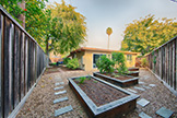 2539 Claire Ct, Mountain View 94043 - Backyard (B)