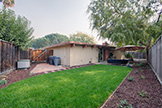 2539 Claire Ct, Mountain View 94043 - Backyard (C)
