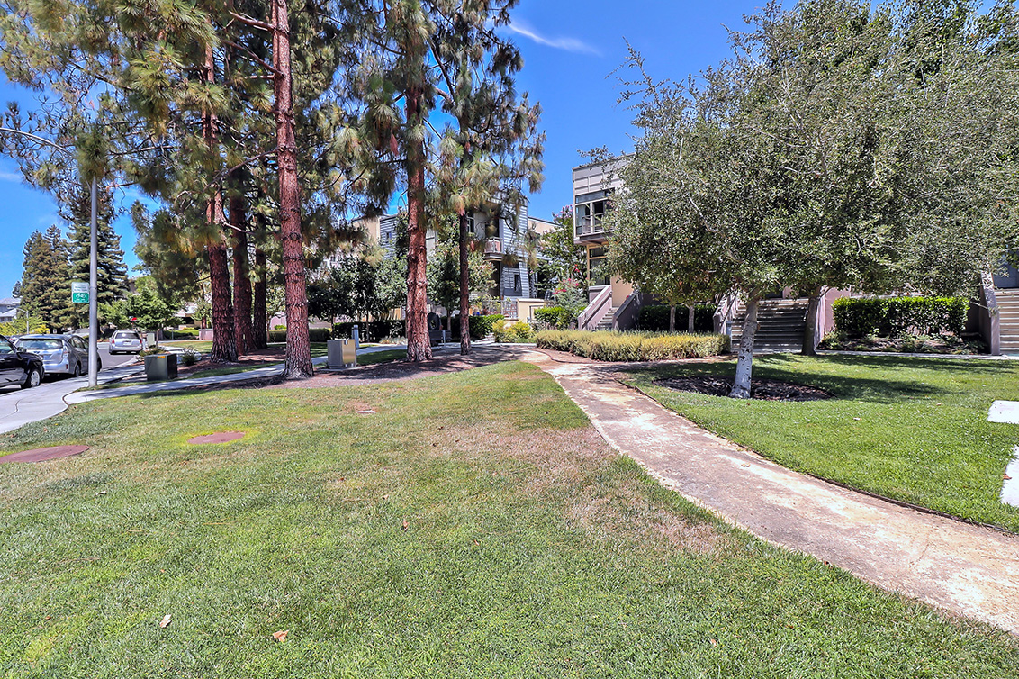 Common Area (A) picture - 933 Curlew Ln, Palo Alto 94303