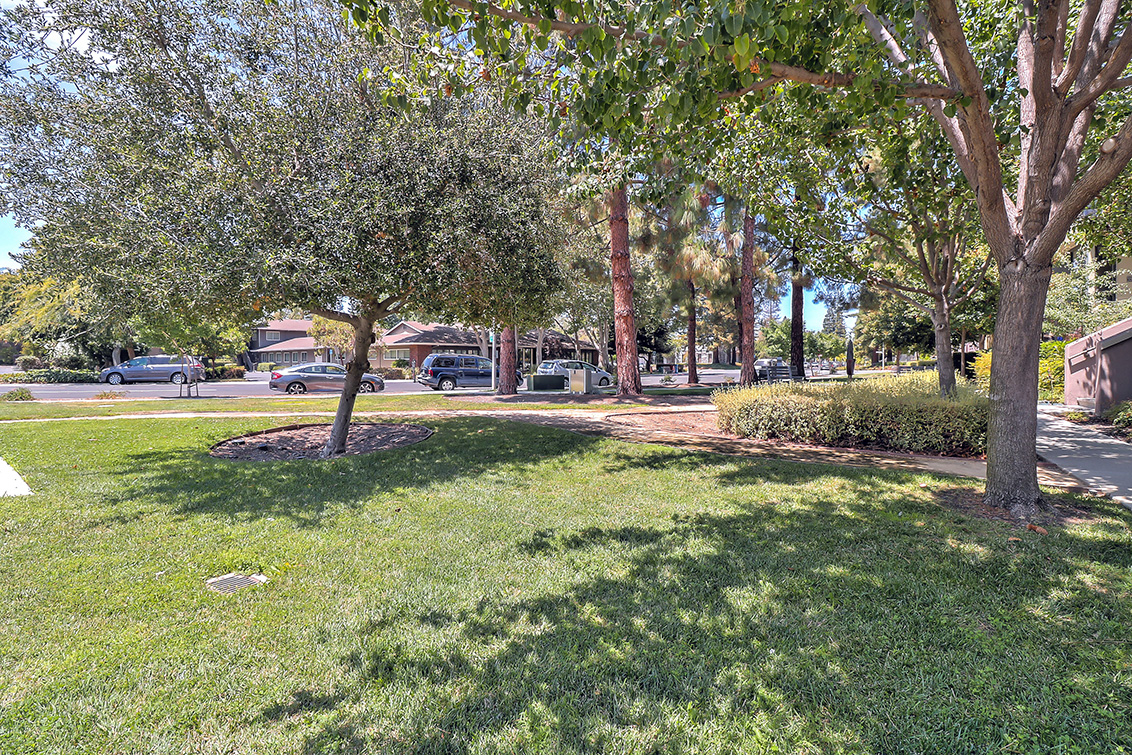 Common Area (B) picture - 933 Curlew Ln, Palo Alto 94303