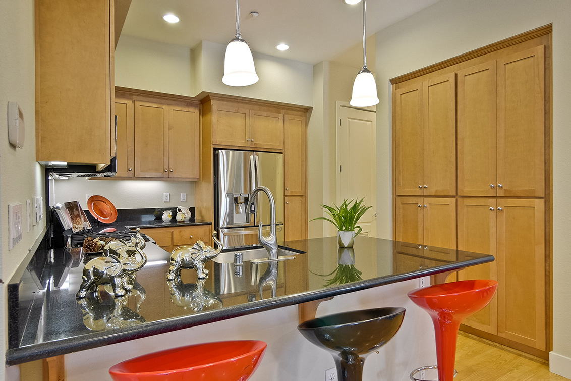 Kitchen - 3732 Feather Ln, Palo Alto 94303