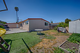 2544 Hazelwood Way, East Palo Alto 94303 - Backyard (A)