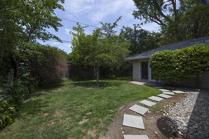 Backyard (A) Picture - 554 Hilbar Ln, Palo Alto 94303 Backyard (A) picture - 554 Hilbar Ln, Palo Alto 94303