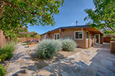 2311 Jewell Pl, Mountain View 94043 - Backyard (A)