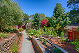 3921 Kingridge Dr, San Mateo 94403 - Kingridge Dr 3921 (C)