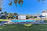 1945 Mount Vernon Ct 4, Mountain View 94040 - Swimming Pool (A)