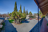 261 Oak St, Mountain View 94041 - Balcony View (A)