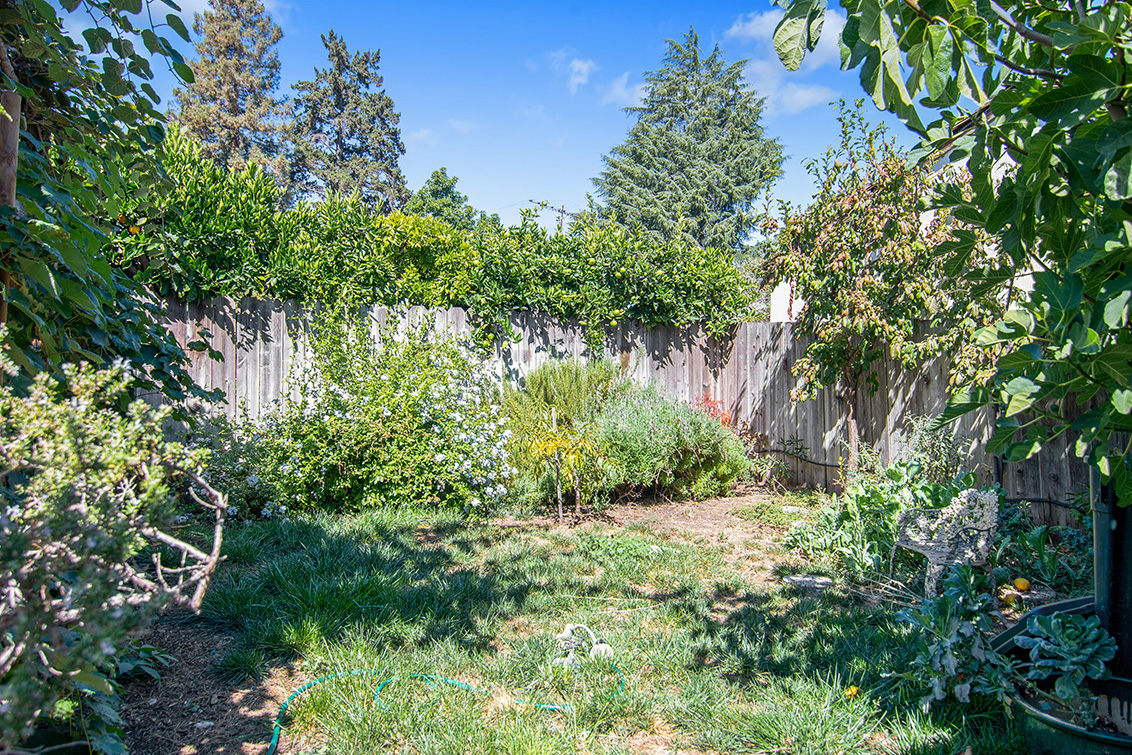 Backyard (A) Picture - 83 Orchard Ave, Redwood City 94061 Backyard (A) picture - 83 Orchard Ave, Redwood City 94061