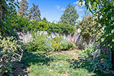 83 Orchard Ave, Redwood City 94061 - Backyard (A)