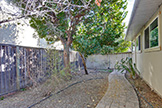 1401 S Wolfe Rd, Sunnyvale 94087 - Backyard (G)