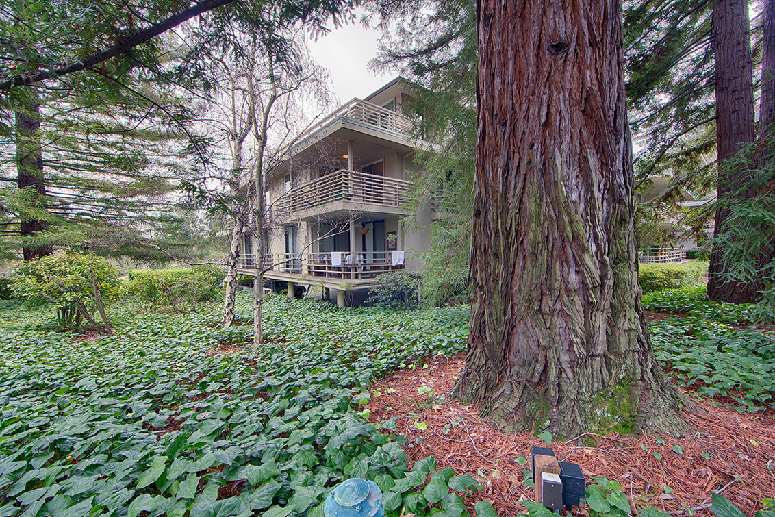 Sharon Park Dr 1100 2 (B) Picture - 1100 Sharon Park Dr 2, Menlo Park 94025 Sharon Park Dr 1100 2 (B) picture - 1100 Sharon Park Dr 2, Menlo Park 94025