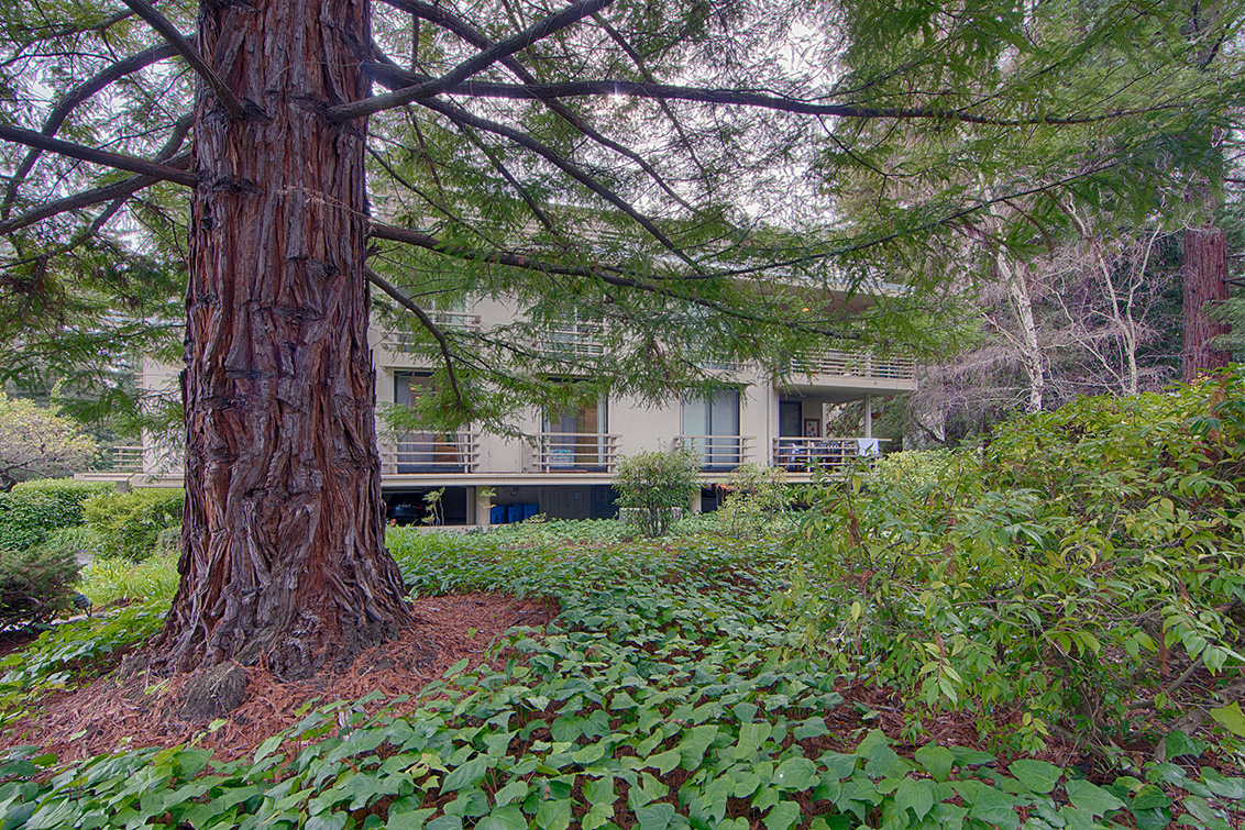 Sharon Park Dr 1100 2 (C) Picture - 1100 Sharon Park Dr 2, Menlo Park 94025 Sharon Park Dr 1100 2 (C) picture - 1100 Sharon Park Dr 2, Menlo Park 94025