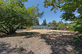 17 Tuscaloosa Ave, Atherton 94027 - Backyard (C)