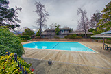 10572 White Fir Ct, Cupertino 95014 - Swimming Pool (A)