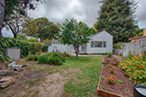 704 Winchester Dr, Burlingame 94010 - Backyard (B)