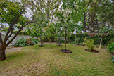 704 Winchester Dr, Burlingame 94010 - Mini Orchard (A)