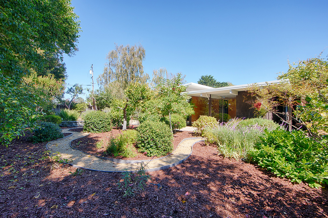Backyard (A) Picture - 1624 Yorktown Rd, San Mateo 94402 Backyard (A) picture - 1624 Yorktown Rd, San Mateo 94402