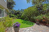 3502 Emma Ct, Palo Alto 94306 - Backyard (D)