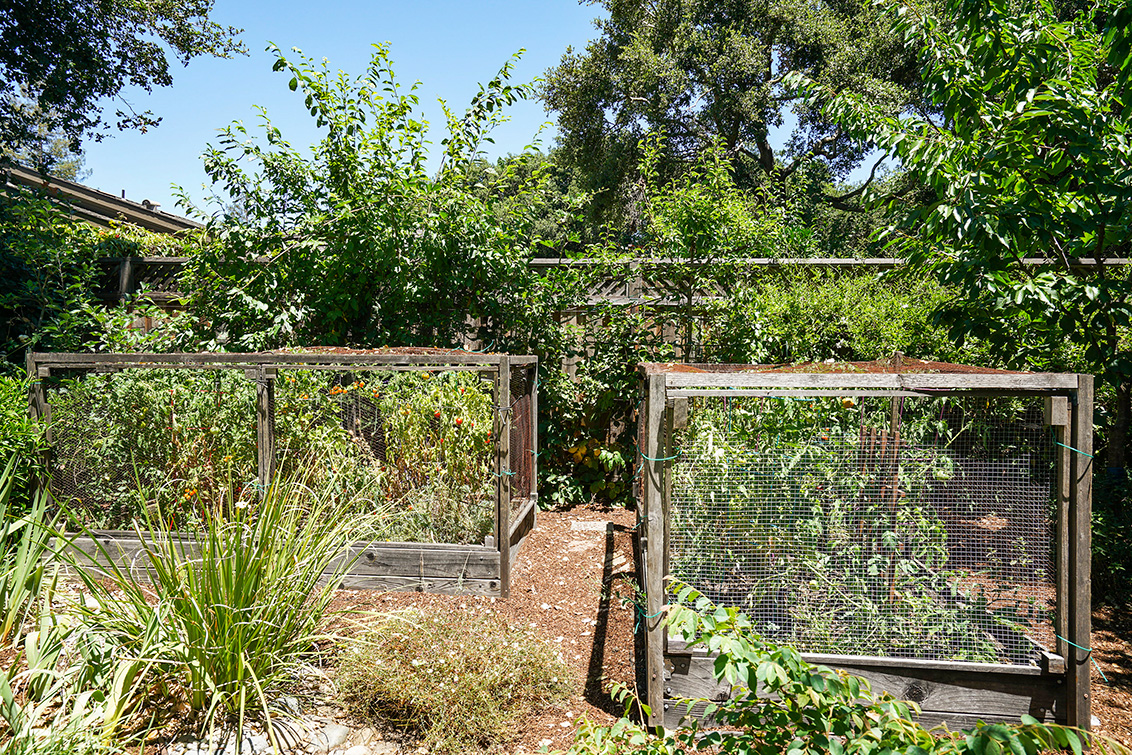 Backyard (F) Picture - 3502 Emma Ct, Palo Alto 94306 Backyard (F) picture - 3502 Emma Ct, Palo Alto 94306