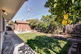 837 Gladiola Dr, Sunnyvale 94086 - Backyard (A)