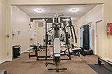 1720 Halford Ave 327, Santa Clara 95051 - Gym (B)
