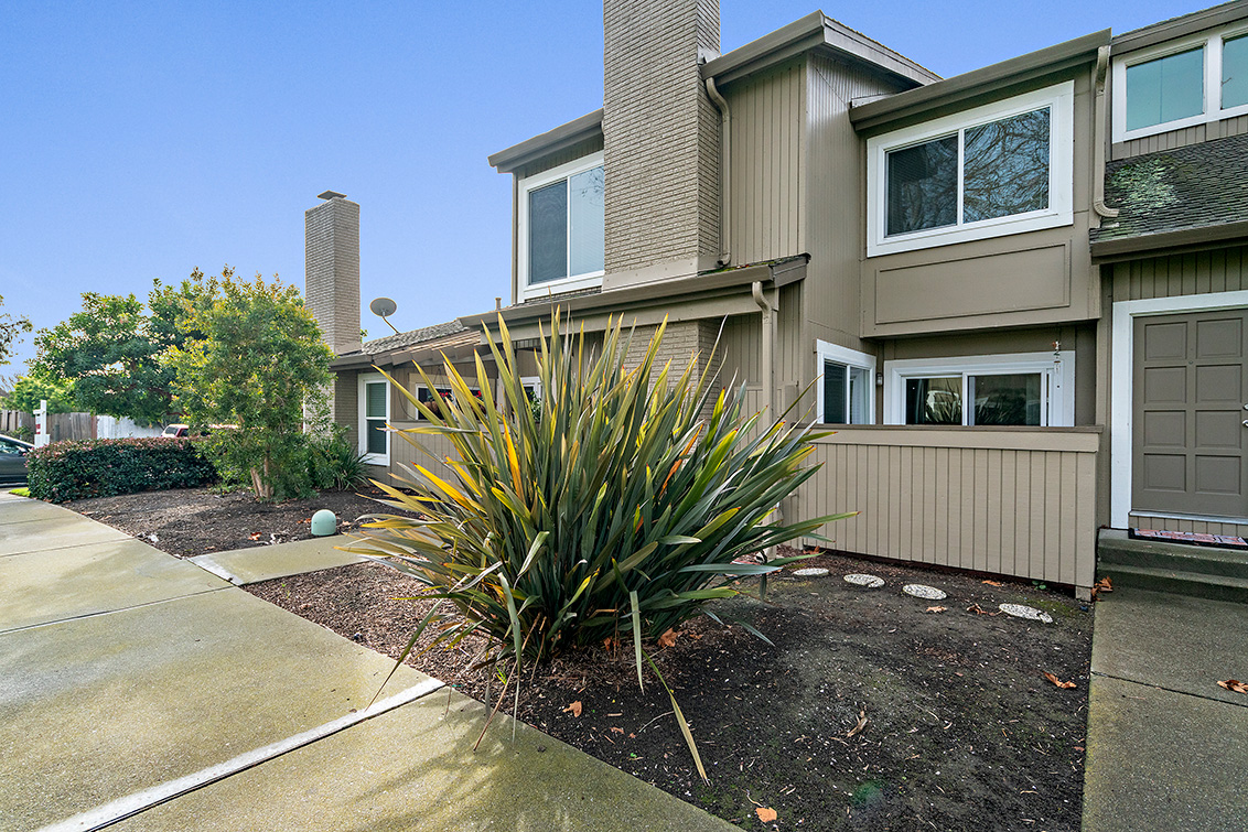 Marlin Ave 1481 (E) picture - 1481 Marlin Ave, Foster City 94404