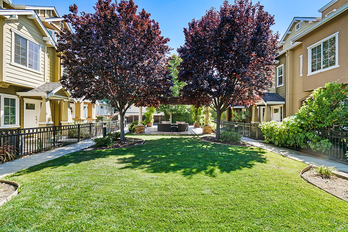 Common Entrance (A) Picture - 2214 Raspberry Ln, Mountain View 94043 Common Entrance (A) picture - 2214 Raspberry Ln, Mountain View 94043