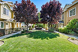 2214 Raspberry Ln, Mountain View 94043 - Common Entrance (A)