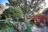 520 Rhodes Dr, Palo Alto 94303 - Front Yard (A)